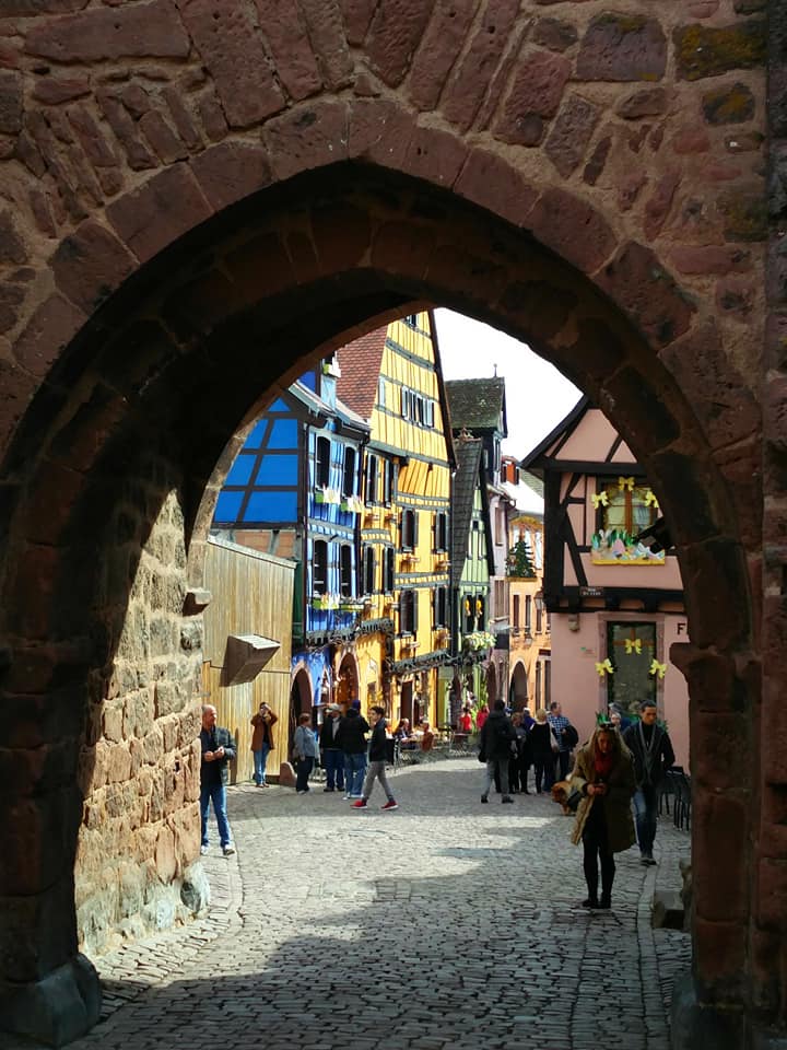 29597369_571149069922444_595002243644555875_n