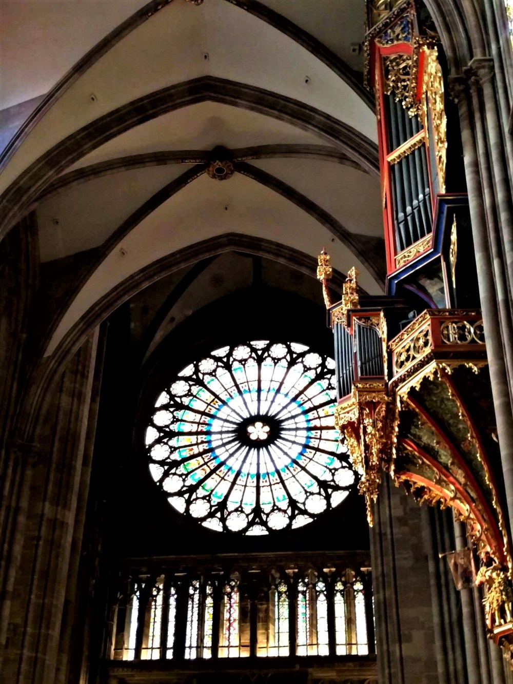 30945358_581450332225651_1194571952_o