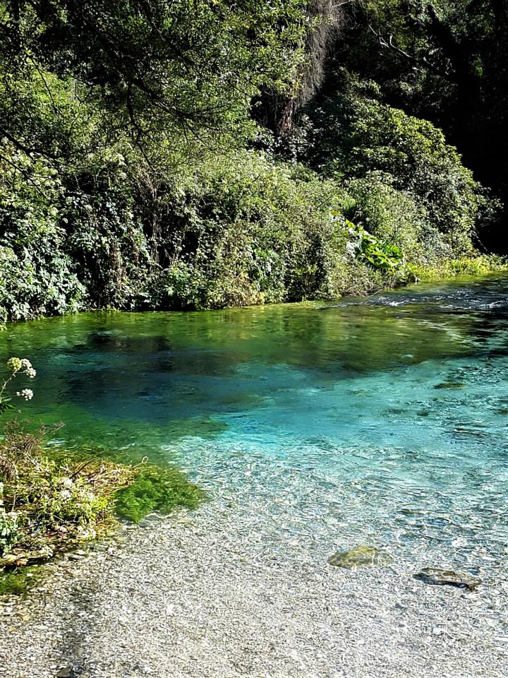 12019777_1619973354929330_7660573237527066776_n