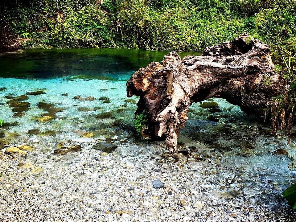 14322257_1752958138297517_6385485231966348171_n