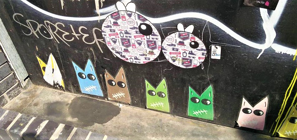 32163047_587095248327826_3782564348828844032_n