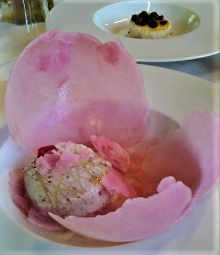 35330056_10214246833196953_553671694485553152_n