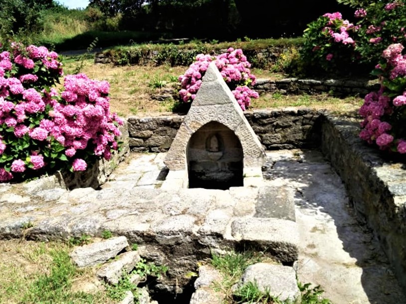 37260399_738222539876817_8663853564734472192_n