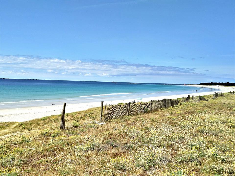 37342710_636661253371225_2498122003496566784_n