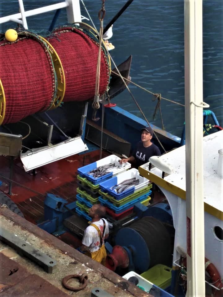 37698552_744739925891745_4659137323919736832_n