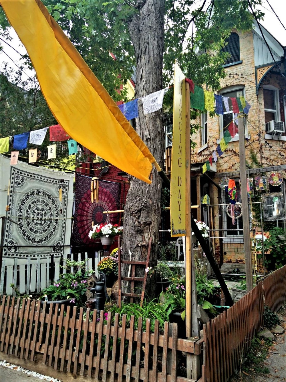 40227193_222009625330942_950463150069645312_n