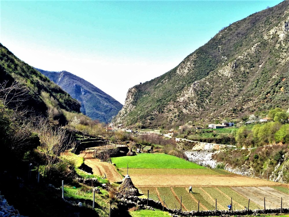 17571707_1850063215253675_794880899_o