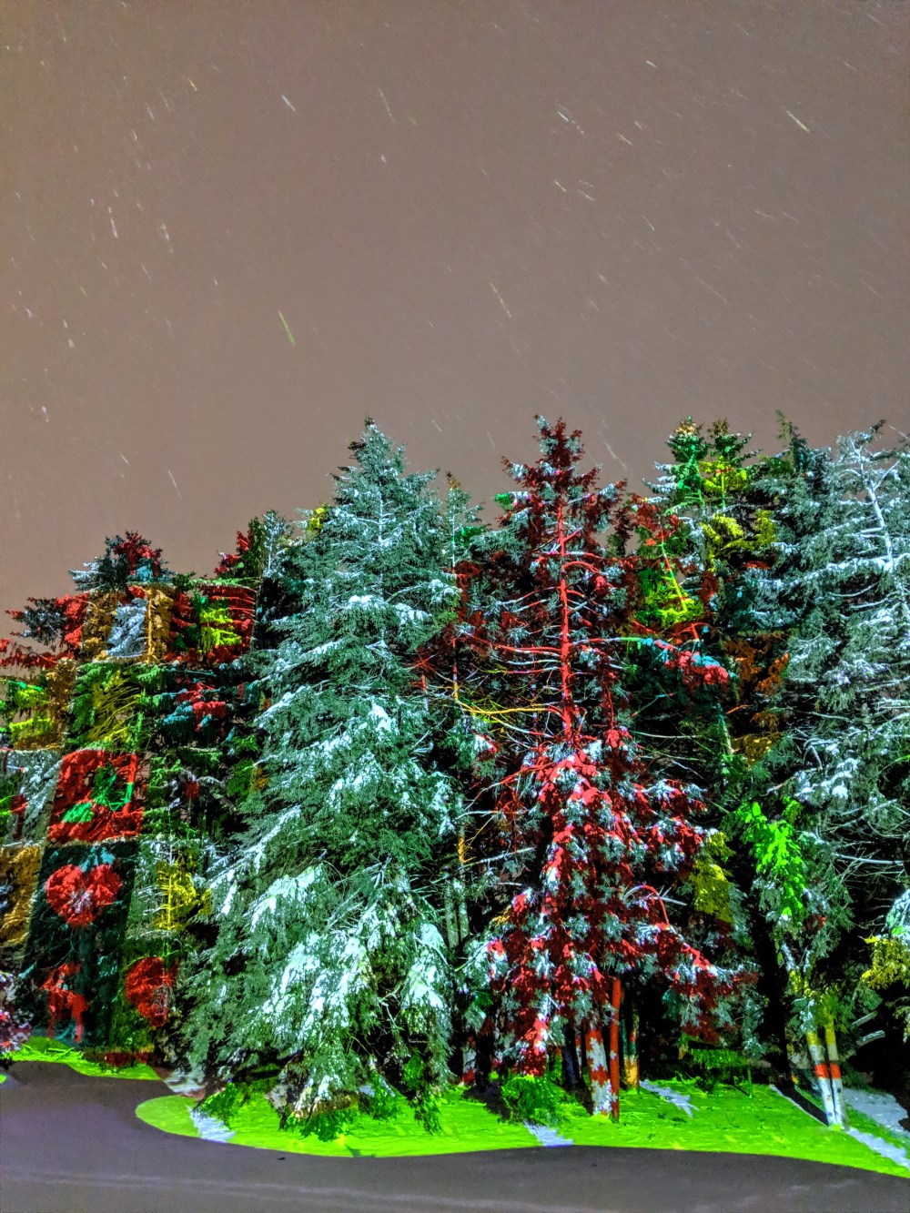 IMG_20181128_195240~2