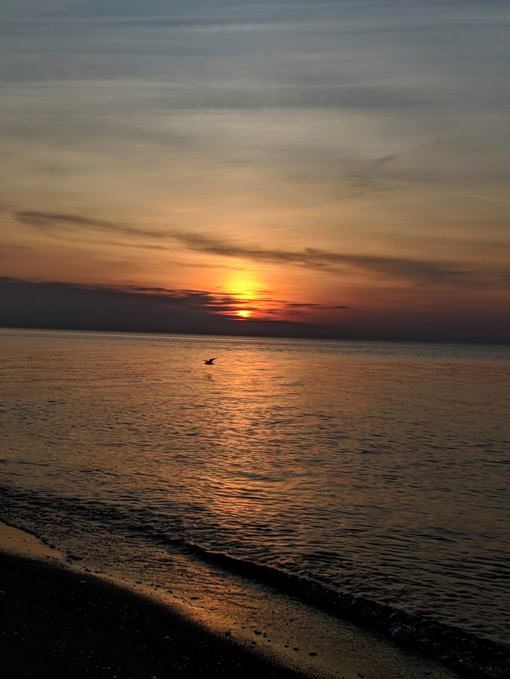 IMG_20190406_191035~3