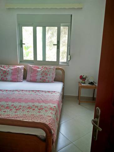 18157415_450502345315506_3265417598474966693_n