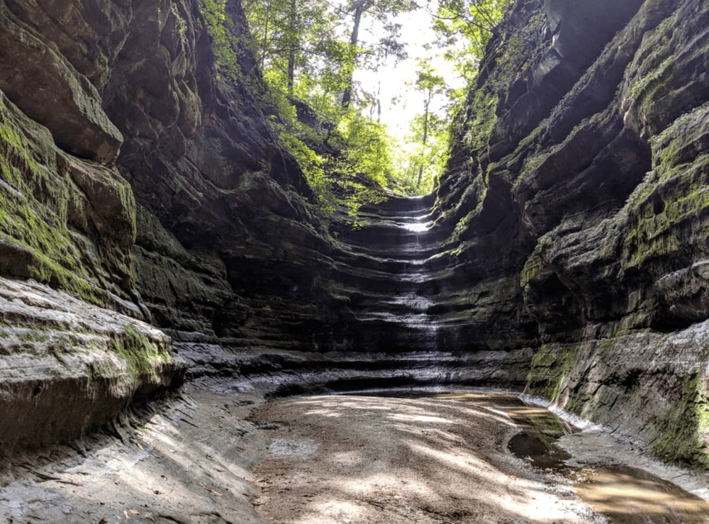 Screenshot_20190917-074657~2