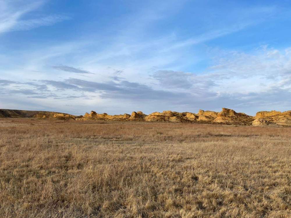 FB_IMG_1582131209258